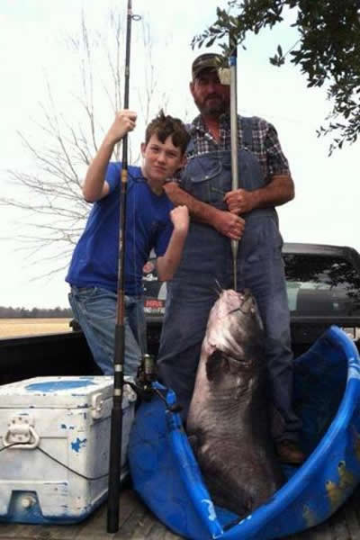 �����к����㳦����һ���ش�52���������