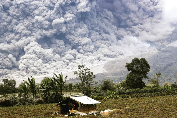 2014114գӡɽٶȴ󱬷