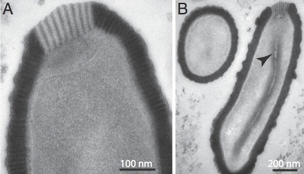 ��������3����ǰ�������з��ִ�ǰδ֪�ľ޲���