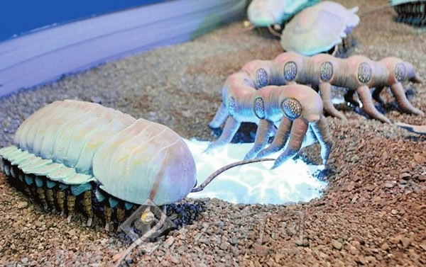 ��ǿ�ν���ʯȺ��������ü��