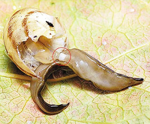 ���¼����Ǳ���ѣ���Ȧ�������ֵ���ţ