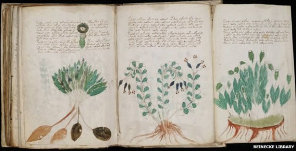 Ӣ���������Ƴɹ����벿�֡��������ָ�(Voynich manuscript)��