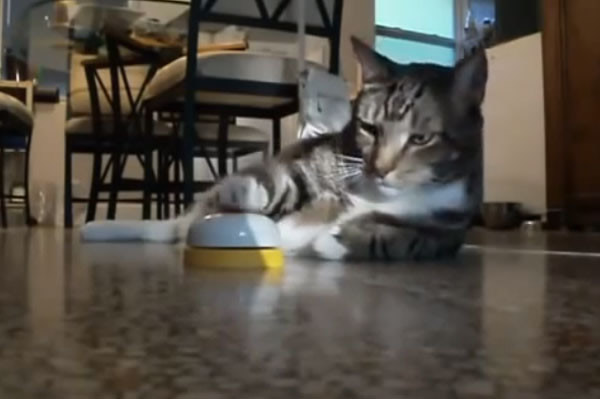 һֻè����˻ᰴ���������ι��