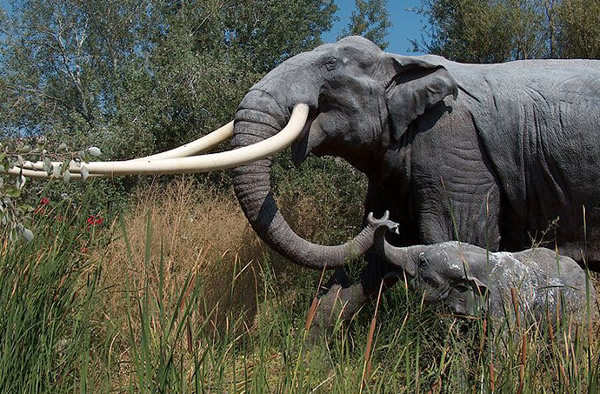 Elephants Landscaped Ice Age Europe Into a Park