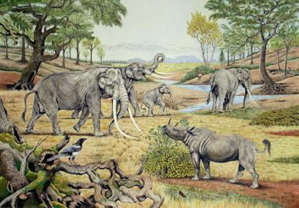 Elephants Landscaped Ice Age Europe Into a Park
