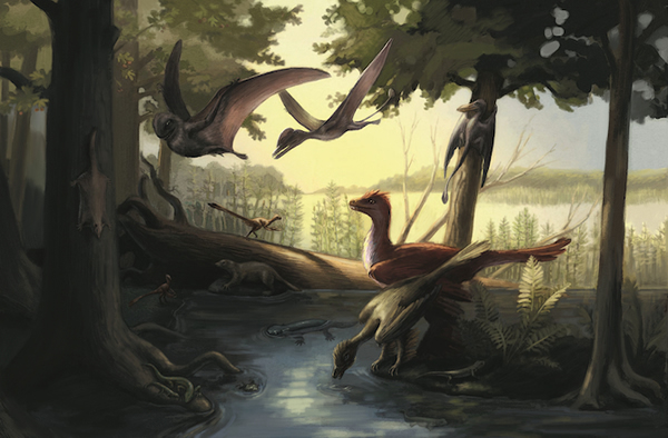 Jurassic Fossil Find Has Feathered Dinos, Airborne Mammals