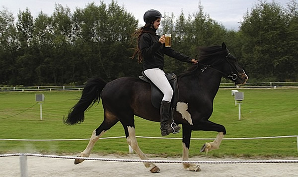 �����и��Ĳ����ص㶼��Դ��������Ӱ��������Ļ���ͻ��