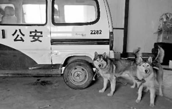 ��ʿ�桰���ַ��ޡ�Ҫ��һ�Ρ�����������