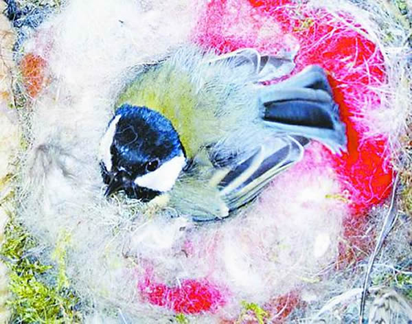 ��ɽȸ�ص���ԭ��