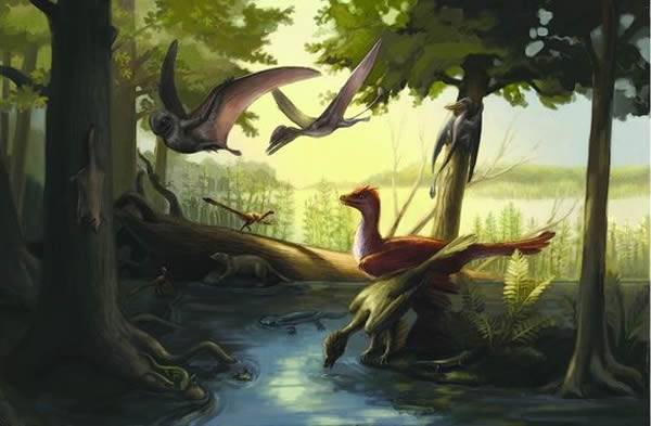中国的“侏罗纪公园”发现更多带羽毛恐龙、最早会游泳哺乳动物和奇特蝾螈