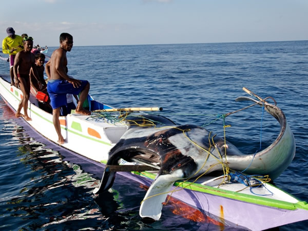 ��ӡ�����������꿭���ĺ����ϣ������ող����˫��ǰ������������С���ļװ��ϡ�