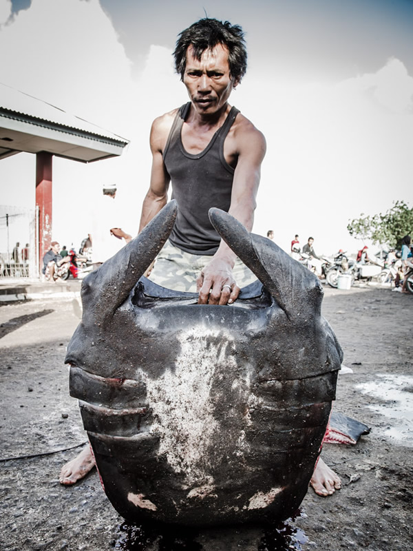 һλ������ץ��һ�������������