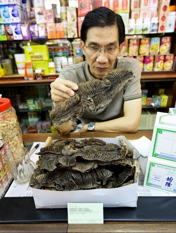 ���¼��µ�һ���̵����������չʾ�����۵�����������