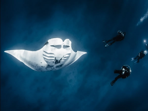 ��ӡ�������ǵ�����ﵺ���򣬼�λǱˮ������̾����ǰ�������������ˡ�