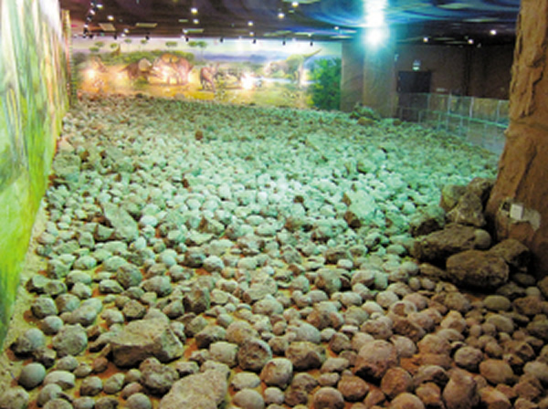 河源恐龙博物馆馆藏上万枚恐龙蛋化石