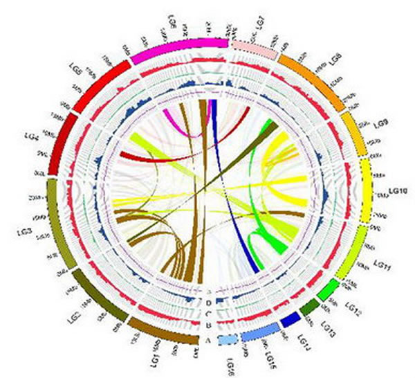 ����֥�������