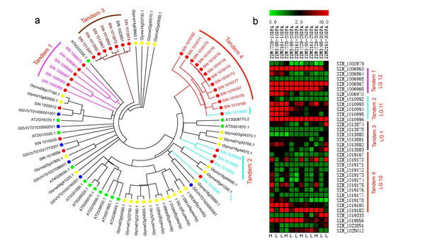 ����֥�������