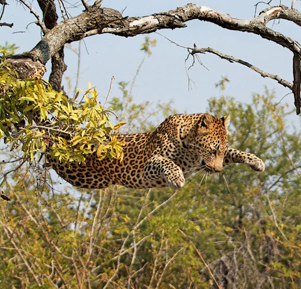 ǱģСɹѡԱΪԼİ渶ˡʹۡͣ