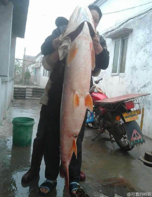 �麣ƽɳ�����ڵ���һ����ӿץ��һ�����˸ߵ�����