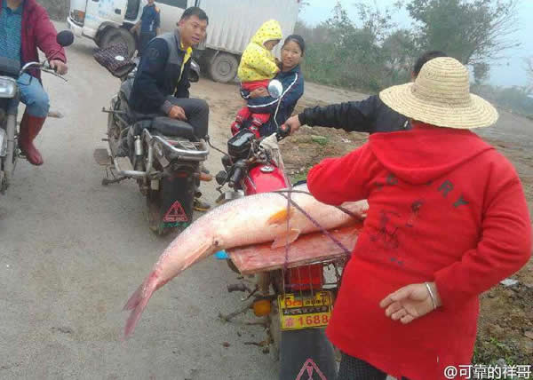 �麣ƽɳ�����ڵ���һ����ӿץ��һ�����˸ߵ�����