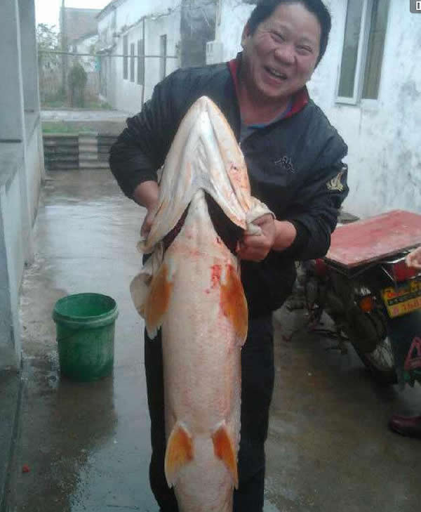 �麣ƽɳ�����ڵ���һ����ӿץ��һ�����˸ߵ�����