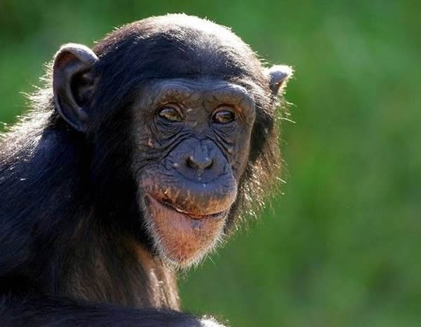 �о����ֺ�����������Ϸ���������Ҫ���������ͯ