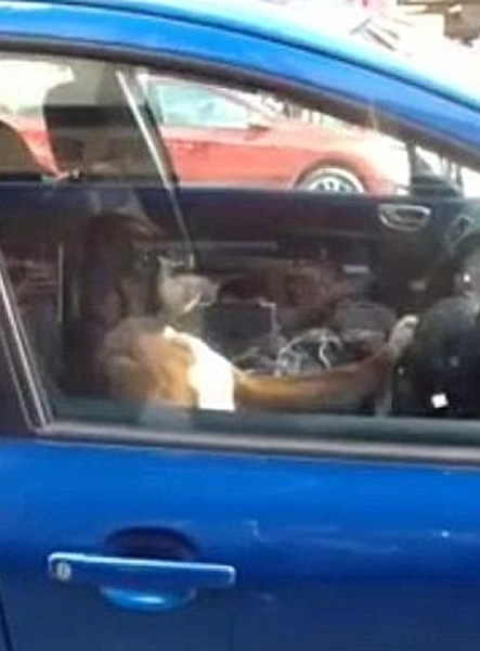 ȭʦȮ�����������ڣ���ͣ�����ȣ�����·��Χ�ۡ�