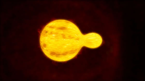 ����ѧ�ҷ���ֱ��Ϊ̫��1300���ĻƳ�����HR 5171 A