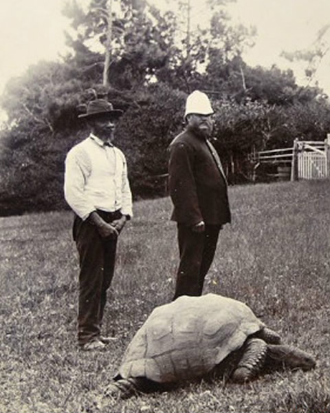 ������޹�����ɭ1882�����Ƭ