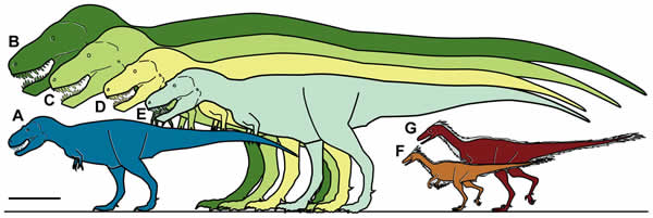 美国阿拉斯加州北部地区发现7000万年前侏儒恐龙化石