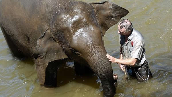 �������ܹ����������ж��������������Ƿ�Σ��