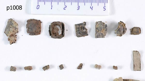 Seven of the recently rediscovered unopened phylactery scrolls from Qumran.-phot
