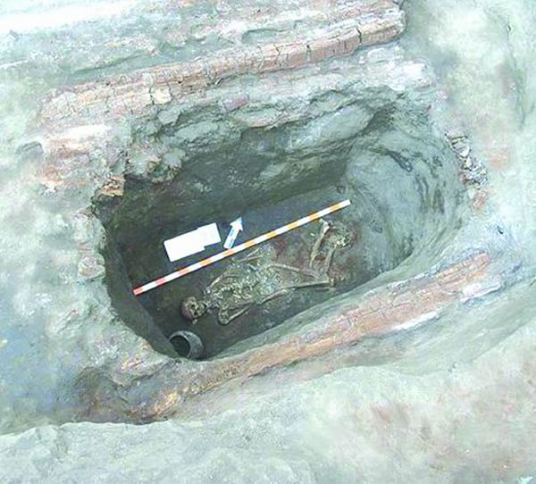 ���ڿ������ֵ����5000��ǰ�������ź������Ѿ��������˽�ǳ�ķ�ɫ