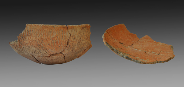 彭头山文化地层出土陶器