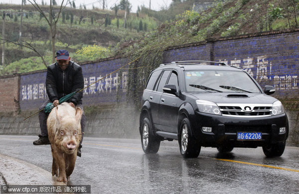 �����Ϻ�����������ͨ����