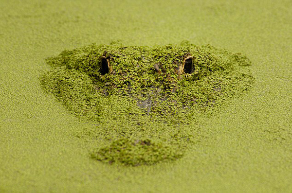 ����һ��������Ƽ�����޶�����