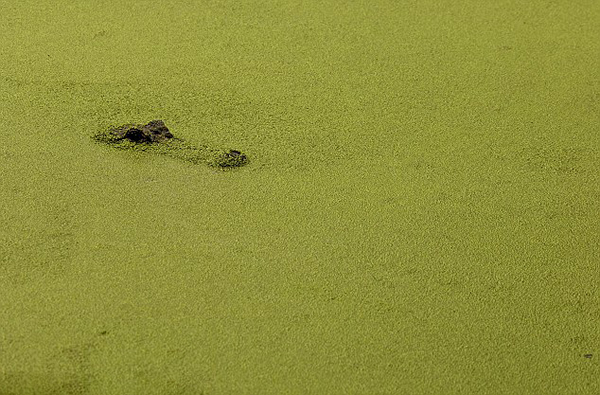 ����һ��������Ƽ�����޶�����