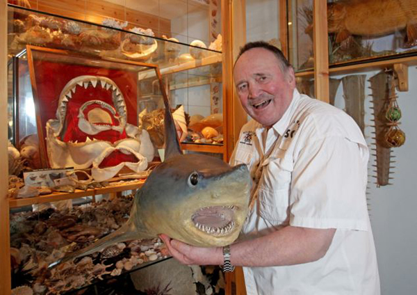 Ӣ����������������5�״����