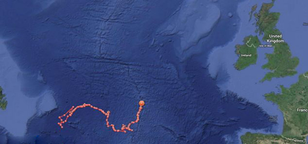 Ӣ����������������5�״����