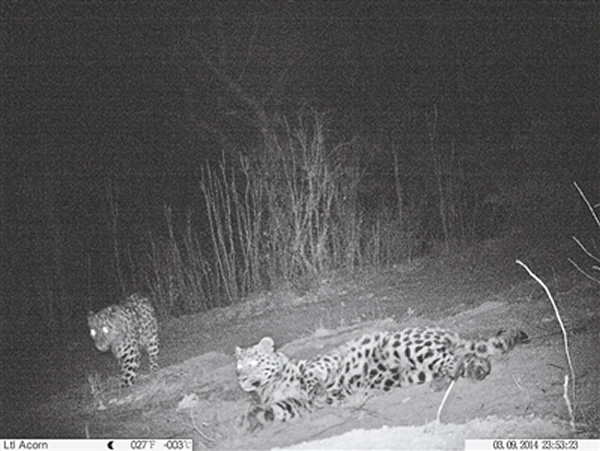 ����ʡ������Ƶ������㵽Ұ��Զ���������ޡ�