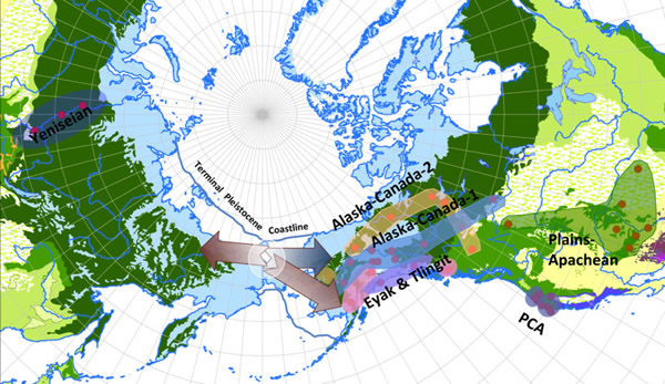 语言系统关联支持早期人类移民从白令陆桥反向迁移至亚洲的假设