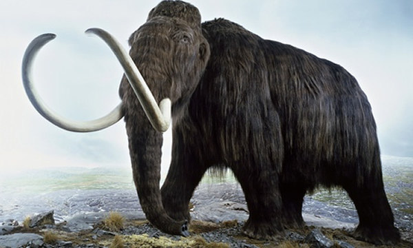 ţ���ѧ���ۡ���ʲôԭ��ɱ���˵����ϵ�ʷǰ���Ͷ��