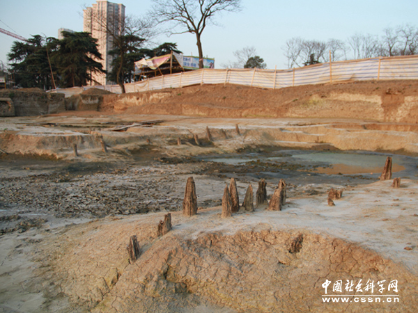 考古现场发现的木桩