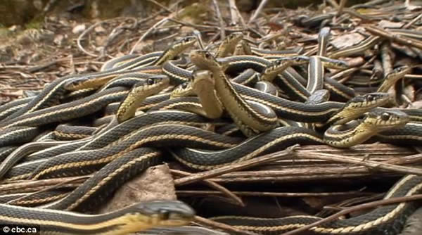 ���ô�������߻����ߴ��������