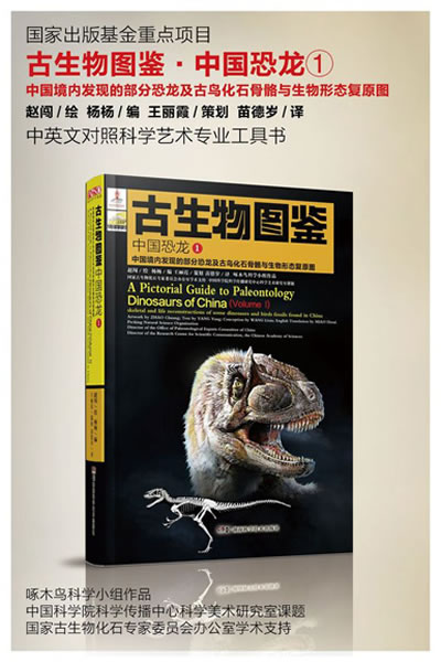 ��������ͼ����