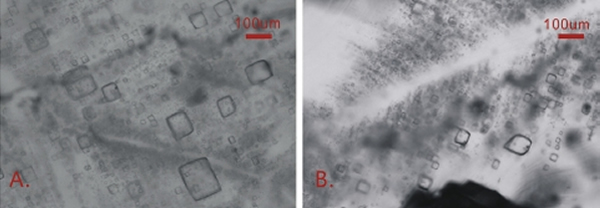 �������Ӧ�ǰ����е�ԭ��ʯ�ΰ����壺��¼�˵�ʱ���κ���ˮ��ɷ�