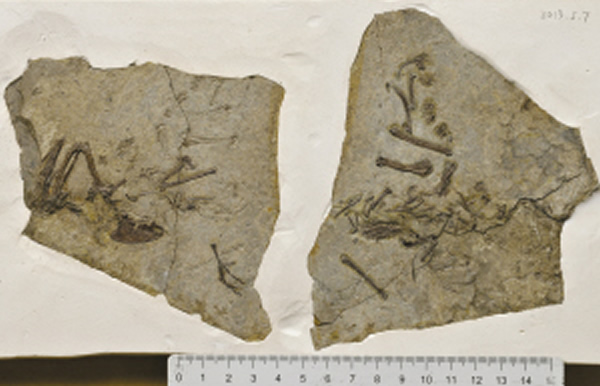 κԷֵĻʯˮֱһ໯ʯ