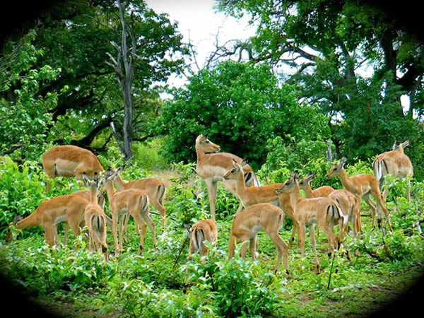 ����緢����������������о��½�չ