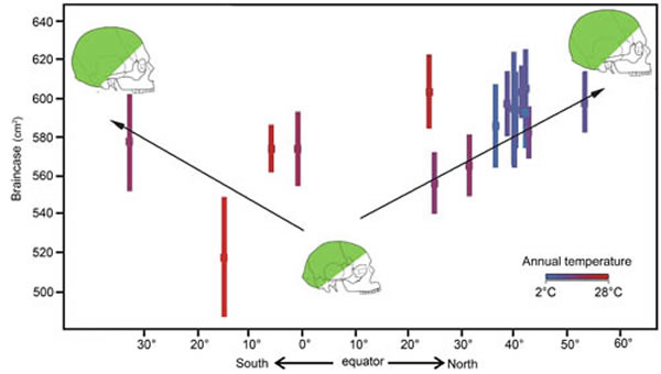 头盖部表面积的纬度分布特点及与温度的关系(潘雷供图)