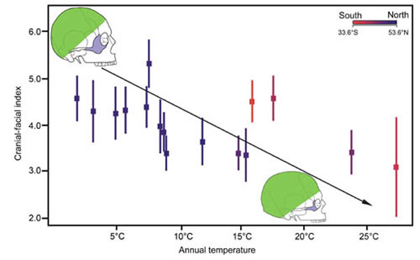头颧指数的纬度分布特点及与温度的关系(潘雷供图)